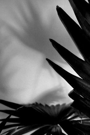 Clair obscur Célia (1) Célia