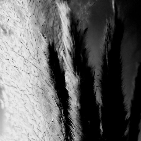 Clair obscur Célia (3) Célia