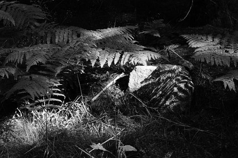 Clair obscur Mado (3) Mado