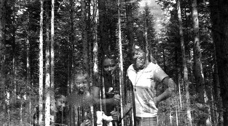 Protégeons-nous dans les bois - Mado